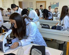 Fête de la science TP 2025